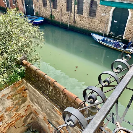 Margherita *